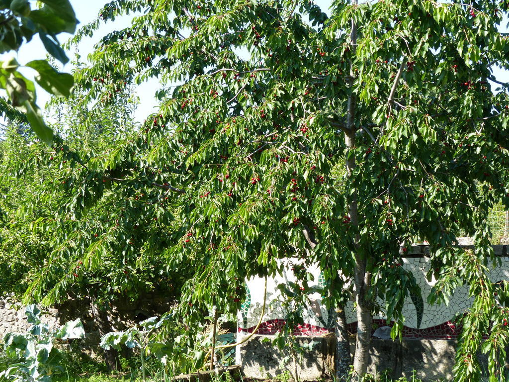Bauernhof Casas Do Toural Gouveia (Guarda)