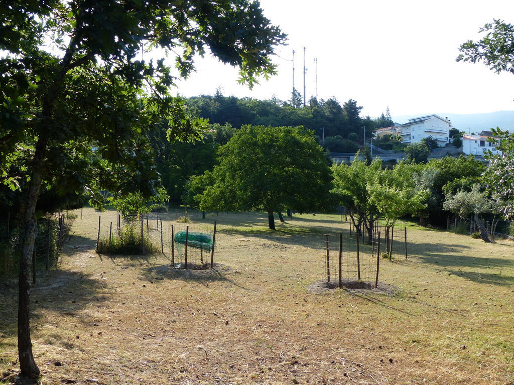 Casas Do Toural